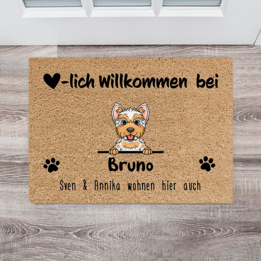 Personalisierte Fußmatte mit 1-8 Hunden/Katzen (gezeichnet)