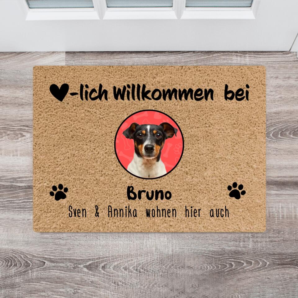 Personalisierte Fußmatte mit 1-8 Hunden/Katzen (Eigene Fotos + Hintergrundfarbe)