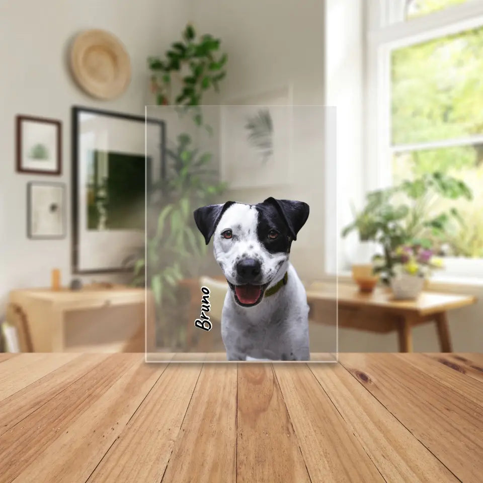 Personalisierte Acrylglasplatte - Hund/Katze/Haustier in Transparent