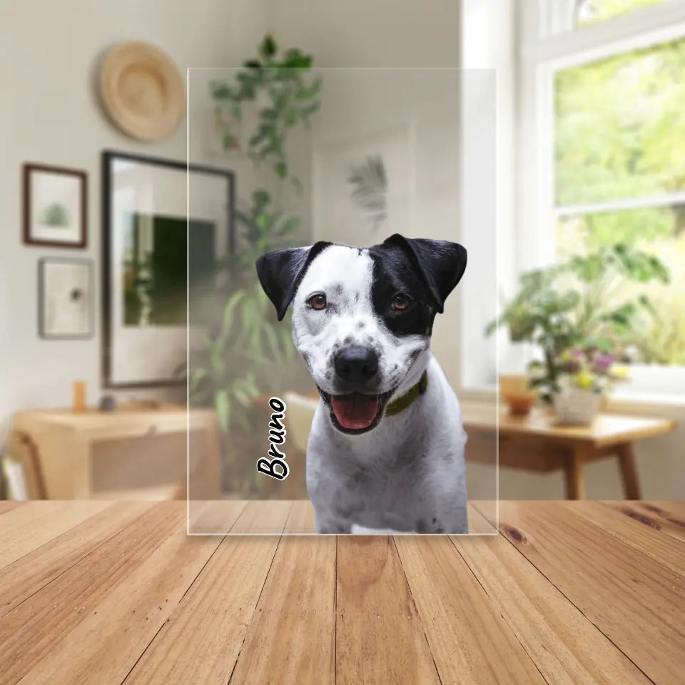 Personalisierte Acrylglasplatte - Hund/Katze/Haustier in Transparent