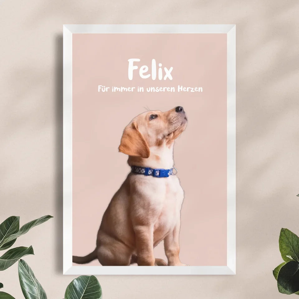 Personalisiertes Tierposter mit Bild und Name