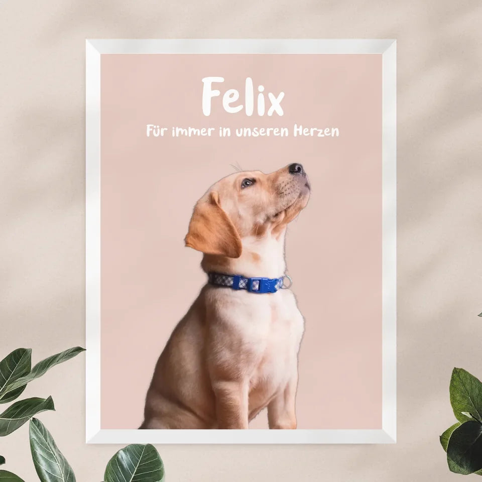 Personalisiertes Tierposter mit Bild und Name