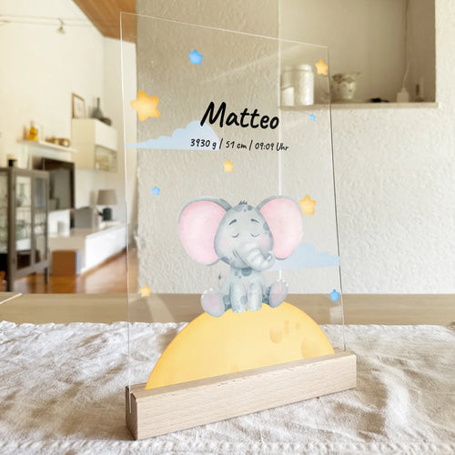 Personalisierte Baby/Kinder Acrylglasplatte - Sternenhimmel mit schlafenden Tieren + Kindernamen - Mit Geburtsdaten