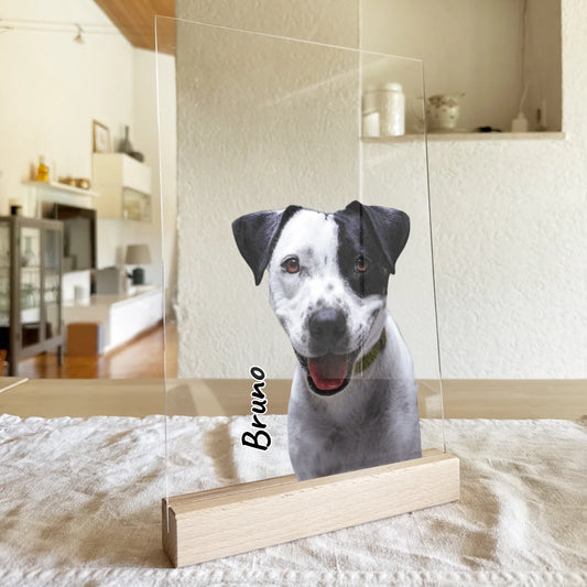 Personalisierte Acrylglasplatte - Hund/Katze/Haustier in Transparent
